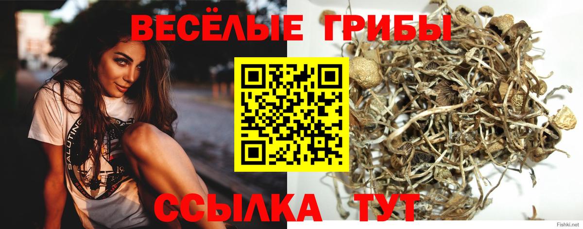 Волгодонск  Псилоцибиновые грибы мухоморы  Вход с VPN 
